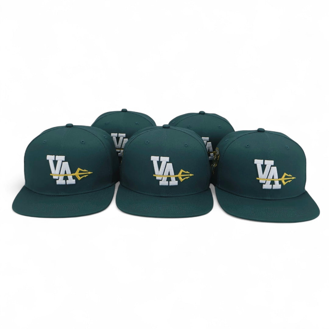 VA HOMETOWN SNAPBACK