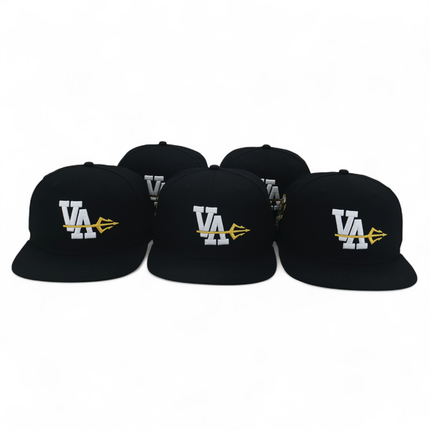 VA HOMETOWN SNAPBACK